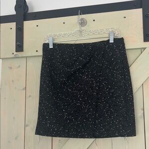 Max Studio Black Mini Skirt